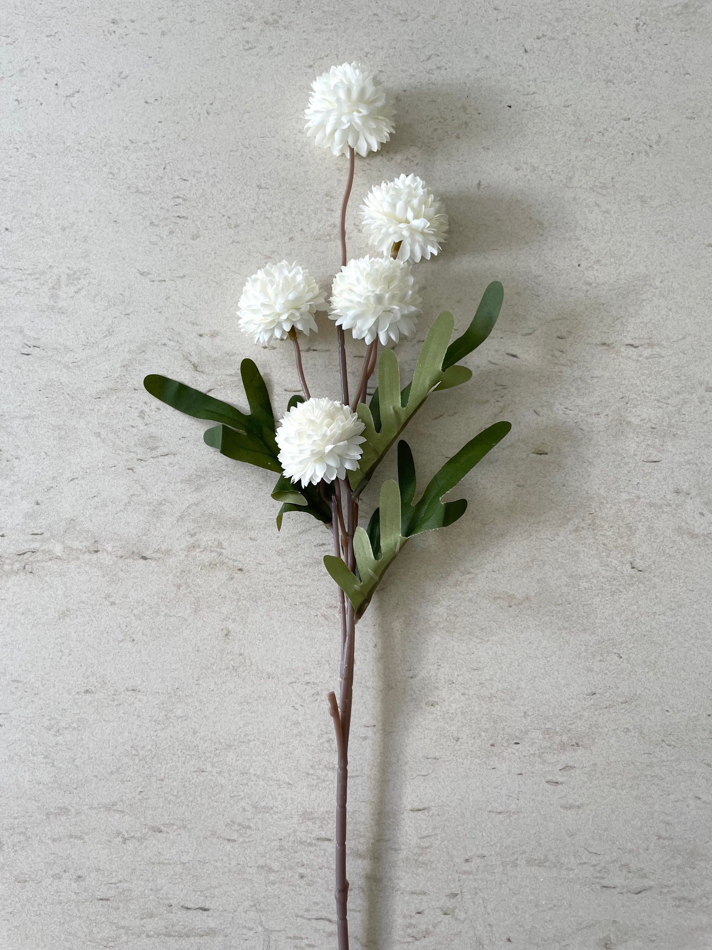 The Barn Blooms