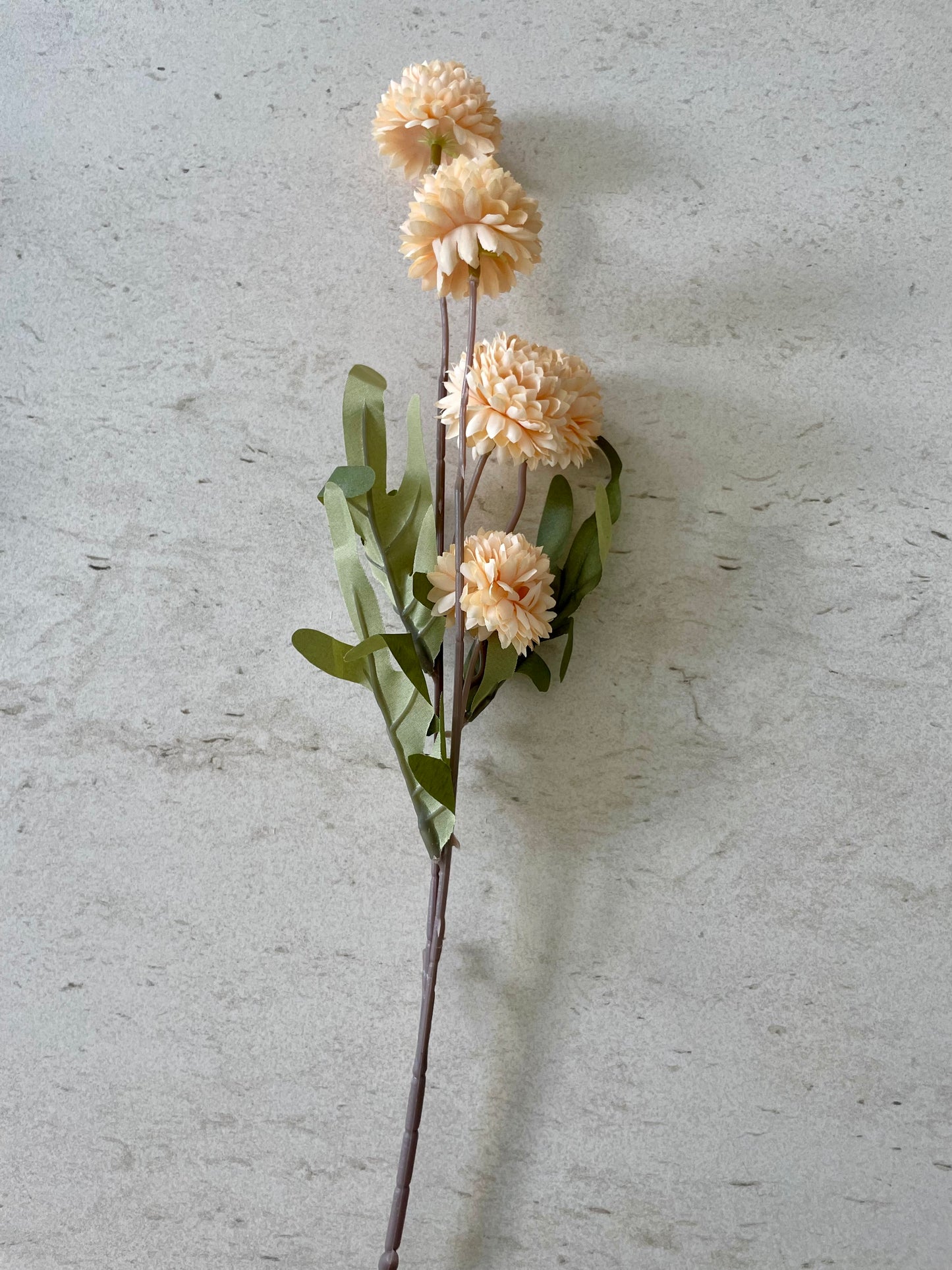 The Barn Blooms