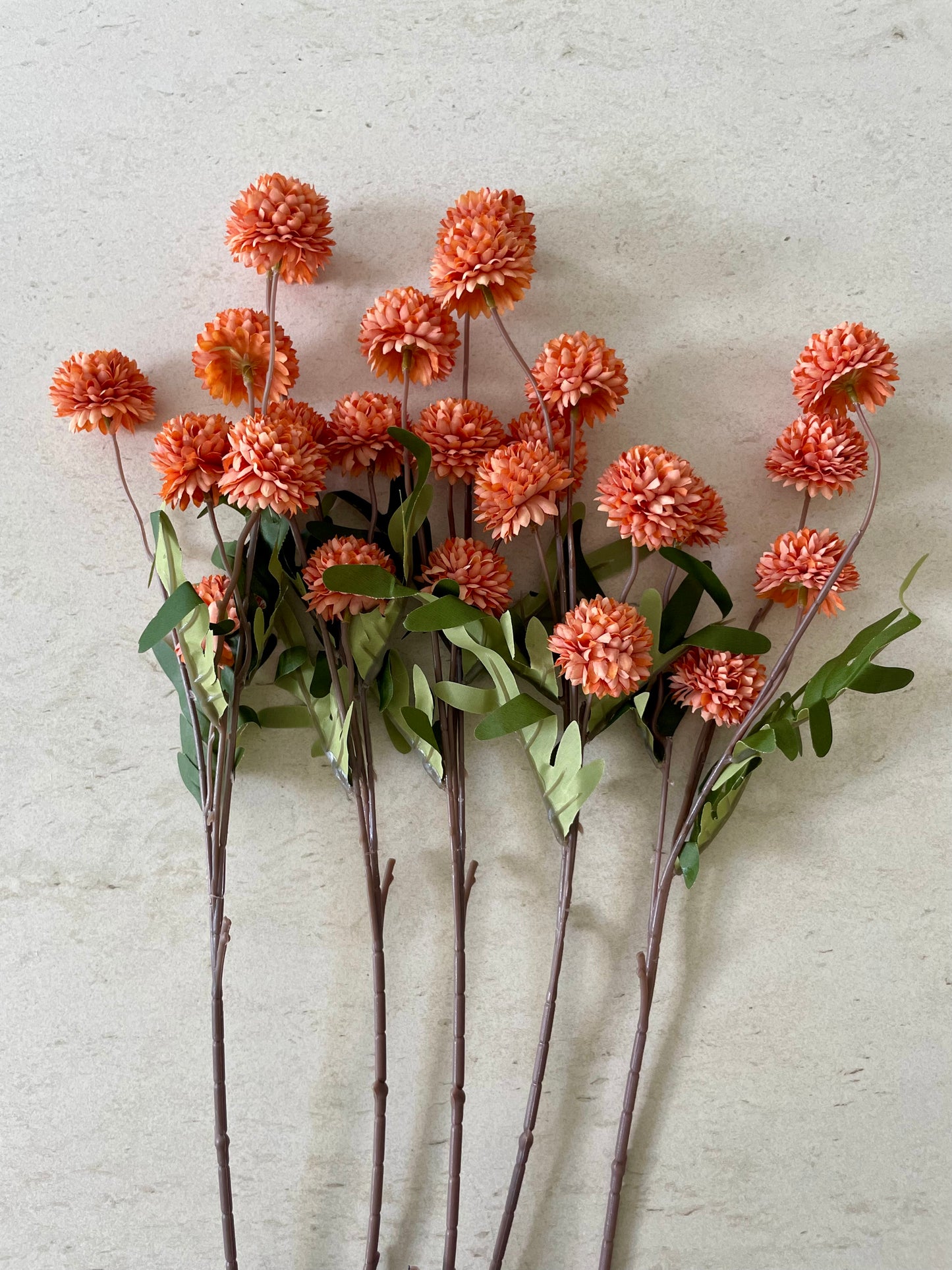 The Barn Blooms