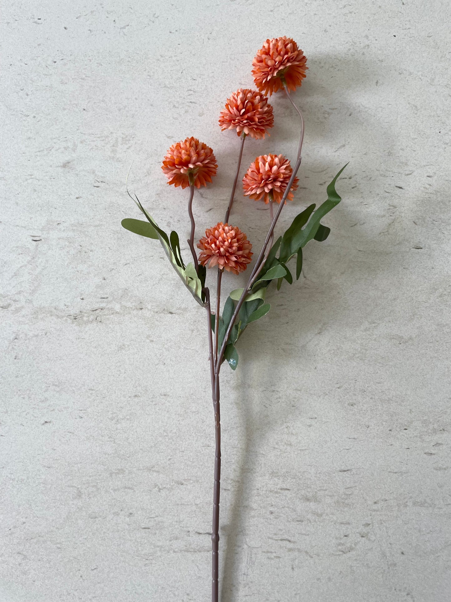 The Barn Blooms