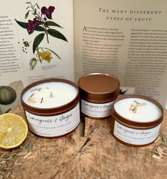 Lemongrass & Ginger Candle
