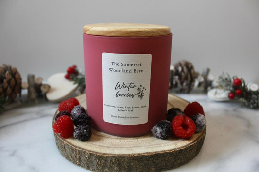 Winter Berries Pastel Candle