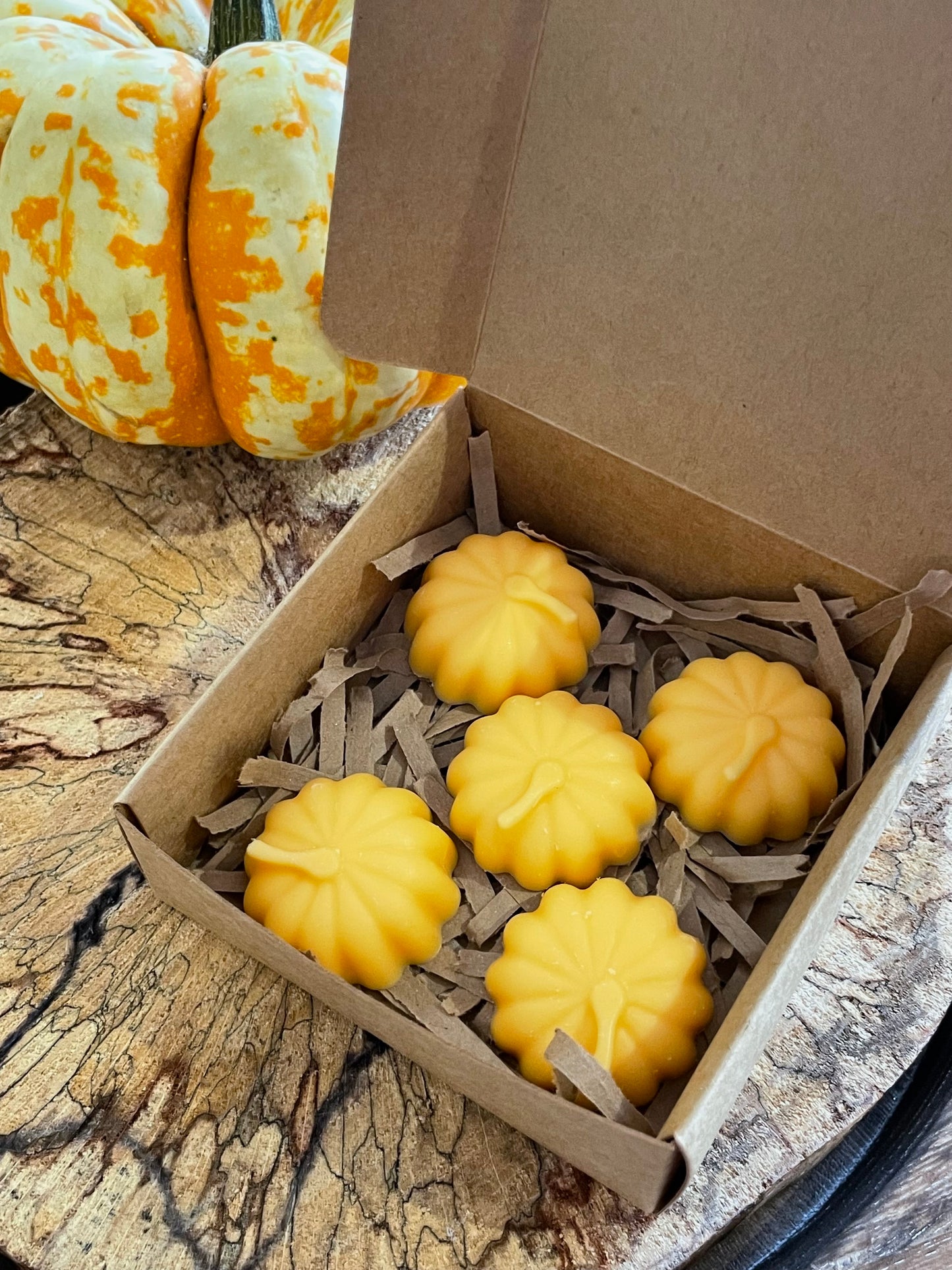 Pumpkin Spice Meadow Melts