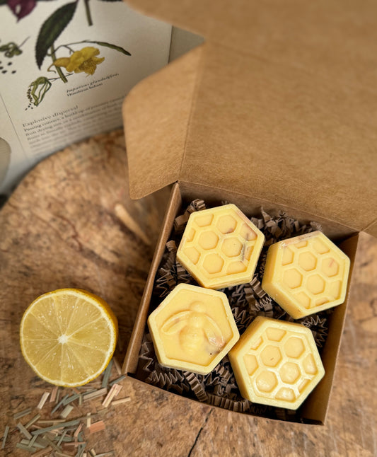 Lemongrass & Ginger Meadow Melts