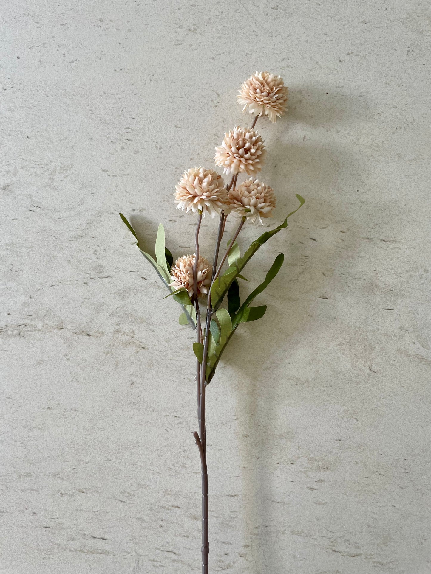 The Barn Blooms